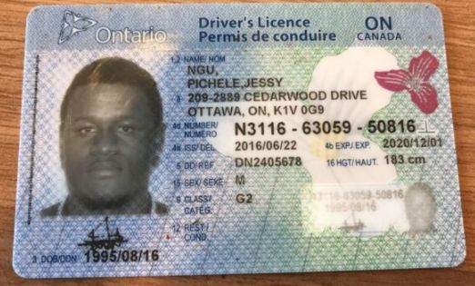 Canada Driver's License 002