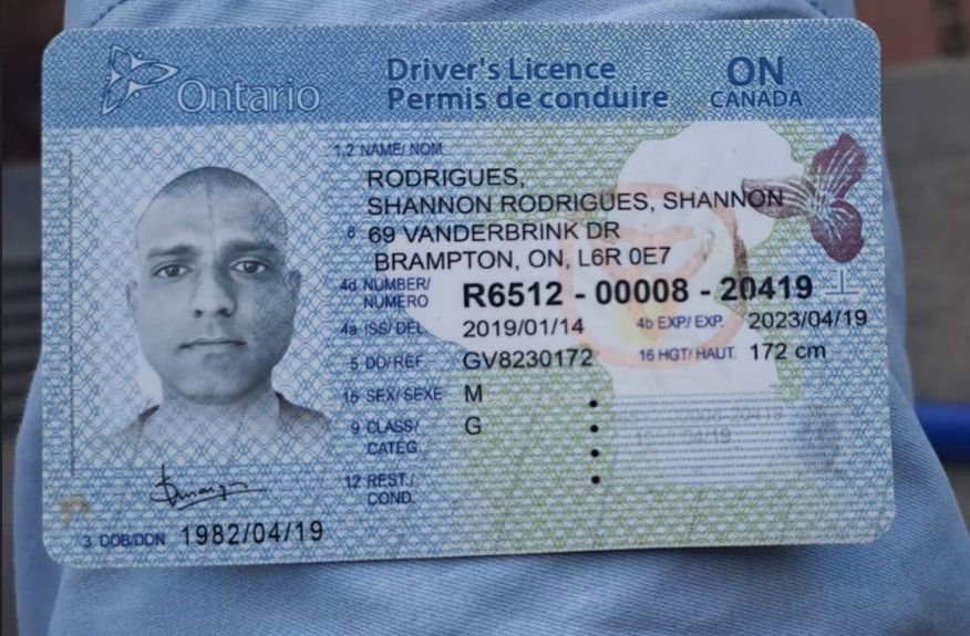 Canada Driver's License Buy Canada Driver's License