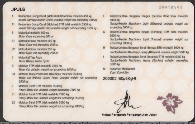 Malaysia driver's licence back