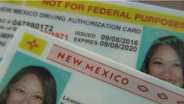 New Mexico Driver's License ID Card