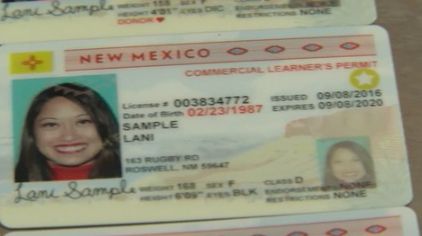 New Mexico Driver's License