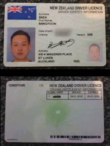 New Zealand Driving Licence template