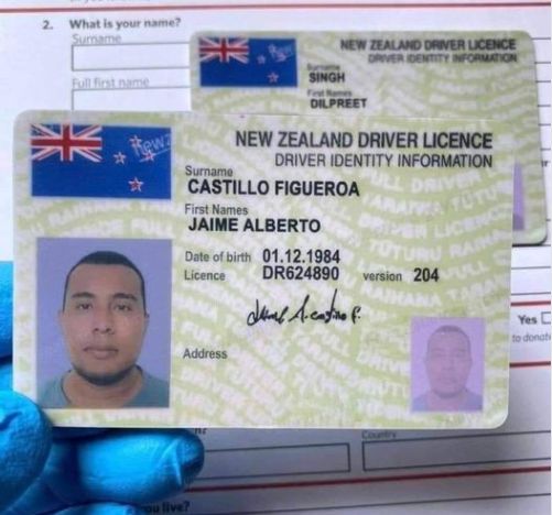 New Zealand Driving licence Buy New Zealand Driving licence