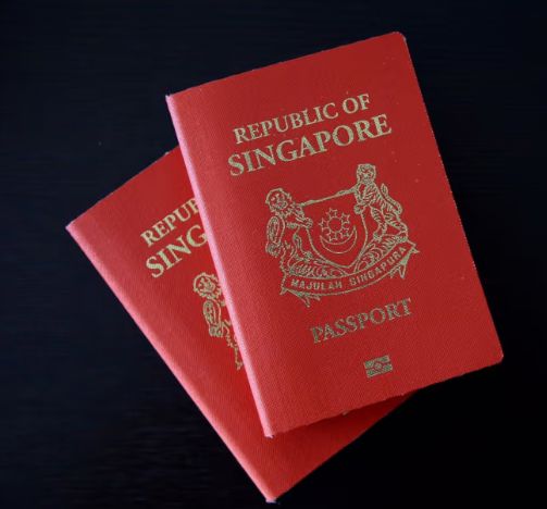 Singapore Passport 003 Buy Singapore Passport Online
